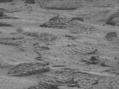 O Curiosity Rover da NASA detecta estranhos padrões em escala de peixe em Marte