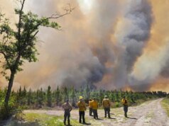 A forma inesperada como os furacões estão alimentando incêndios florestais