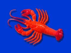 Anthropic diz que os assinantes do Claude Code precisarão pagar mais pelo uso do OpenClaw