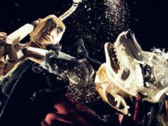 Mostra de animação Annecy em Cannes: anime, stop motion de insetos, culinária de ficção científica e Alain Gagnol indicado ao Oscar (EXCLUSIVO)