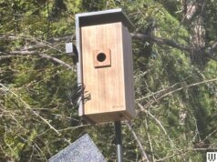 Os melhores acessórios para casa inteligente para aumentar sua atratividade (2026)