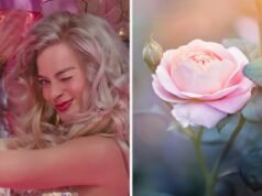 Escolha um filme para assistir com cada letra do alfabeto e descubra qual flor você é no fundo