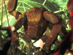 Um Oscar para Rocky? O titereiro de ‘Projeto Hail Mary’ James Ortiz é elegível para melhor ator coadjuvante (EXCLUSIVO)