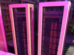 O que você precisa saber sobre a construção de uma sauna ao ar livre (2026)