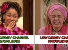 Você consegue nomear todos esses programas do Disney Channel em um minuto?