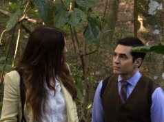 Com as inscrições para o Emmy provavelmente caindo novamente, um campo menor pode impulsionar séries e artistas da Dark Horse