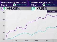 A recuperação do software é real, mas nem todos os grandes nomes estão de volta: Gráfico do Dia