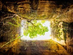 O uso prolongado de IA pode ser perigoso para sua saúde e seu trabalho: 4 maneiras de se manter seguro