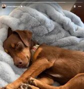 Amanda Batula participará da reunião da 10ª temporada de ‘Summer House’ para responder “todas e quaisquer perguntas de maneira honesta e direta”