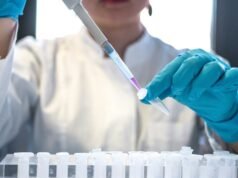 Cientistas acham que encontraram uma maneira de impedir o envelhecimento das “células zumbis”