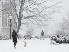 Flurries na previsão? As temperaturas devem cair à medida que a frente fria se move pela região de Waterloo