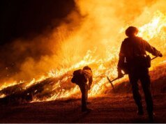 A nova agência de incêndios florestais de Trump está apostando em uma estratégia arriscada de combate a incêndios