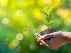 9 atividades ecológicas para comemorar o Dia da Terra