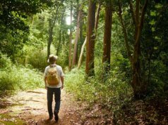 Vai fazer uma caminhada na primavera? Veja como baixar um mapa para o seu iPhone