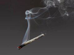 Experimentei um purificador de ar projetado para filtrar maconha e fumaça de cigarro