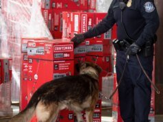 Site de reembolso de tarifas: o que é, como usar