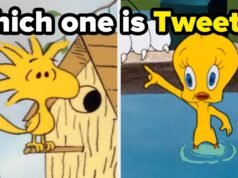 Não estou dizendo que você odeia desenhos animados, mas se você não consegue nem identificar 13 desses famosos personagens pássaros, bem…