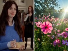 Acredite ou não, suas escolhas de flores determinarão se você conseguirá sobreviver um dia como PA de Miranda Priestly!