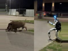 Vídeo viral oferece uma nova estratégia atraente para defender crianças de 30 a 50 anos: robôs bípedes