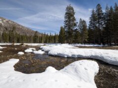 O Ocidente finalmente conseguiu nevar, mas é tarde demais