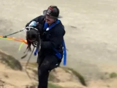 Cachorro resgatado após queda dramática de penhasco perto de Fort Funston, Califórnia