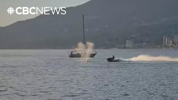 O que os velejadores de BC devem saber antes de entrar na água, após o ataque da Sea-Doo às baleias