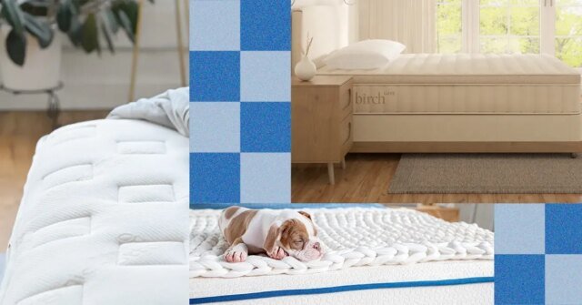 1779731746_Best20Memorial20Day20Mattress20Deals20SOURCE20MyGreenMattress20Birch20Naturepedic.jpg