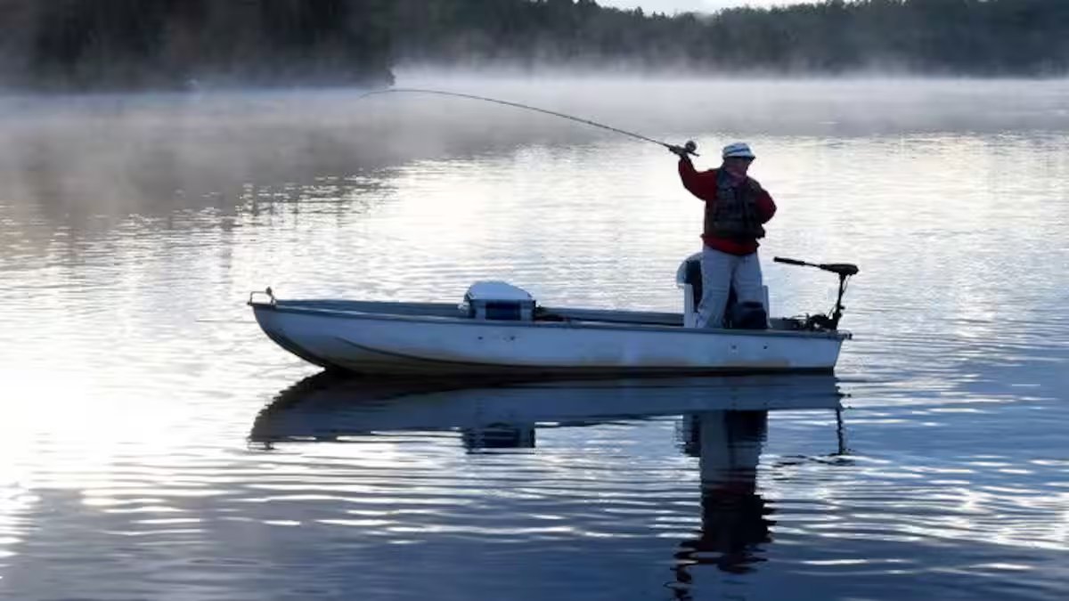 186296_25426579522c0b-c48d-4436-9020-b3b316d76a44_ORIGINAL.jpg