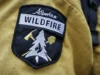 Incêndio florestal no norte de Alberta destrói cinco casas, disse autoridade do condado