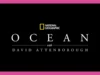 ‘Ocean With David Attenborough’ surfa na onda da Terra enquanto o famoso naturalista completa 100 anos – Contenders TV Docs + Unscripted