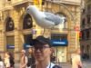 Gaivota pousa na cabeça de turista enquanto ele come churros em Barcelona