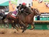 Cherie DeVaux deve decidir se Golden Tempo executará Preakness para uma chance pela Tríplice Coroa