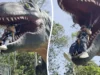 Momento em que garota pensa que está sendo comida em um passeio bizarro de dinossauro