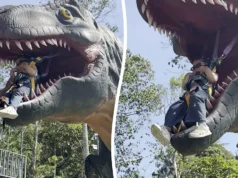 Momento em que garota pensa que está sendo comida em um passeio bizarro de dinossauro