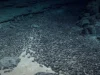 Conclusões do relatório da AP sobre mineração em alto mar