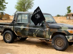 Autoridades turcas e sírias detêm 10 indivíduos com supostas ligações com o ISIL