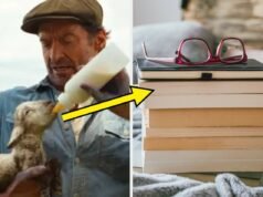 Se você amou "Os detetives de ovelhas," Você precisa destes 11 livros de mistério aconchegantes o mais rápido possível para manter a vibração