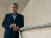 Johnny Depp, estrelado por ‘Day Drinker’, recebe data de lançamento da Lionsgate
