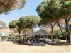 CAA & Finch & Partners pretendem recriar o simpósio do futuro do cinema em Cannes em Veneza, Doha e outros locais
