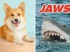 Escolha um filme famoso de cada década e eu revelarei sua raça canina interior!