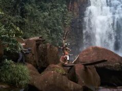 Ex-AMPAS Prez Janet Yang & Rai Cinema entre os produtores do Borneo Rainforest Doc ‘Shinta’ – Mercado de Cannes