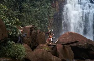Ex-AMPAS Prez Janet Yang & Rai Cinema entre os produtores do Borneo Rainforest Doc ‘Shinta’ – Mercado de Cannes