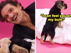 Pedro Pascal fez a entrevista com o cachorrinho – De nada