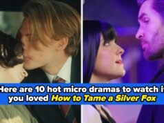 Obcecado por ‘Como domesticar uma raposa prateada’? Estes 10 dramas verticais picantes e viciantes farão com que você cancele todos os seus planos de fim de semana