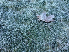 Frost esperado domingo e segunda-feira em Hamilton e Brantford