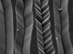 Como o vinil quadrofônico coloca quatro canais em uma única ranhura? Olhe através de um microscópio eletrônico e veja