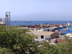 Explicador-Qual é o hantavírus que matou três passageiros de um navio de cruzeiro?