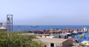 Explicador-Qual é o hantavírus que matou três passageiros de um navio de cruzeiro?