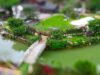 Timelapse tilt-shift faz jardins na China parecerem modelos em miniatura