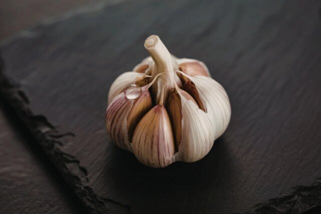 garlic-1280x853.jpg